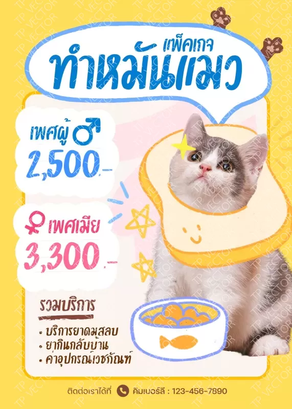 ทำหมันแมว